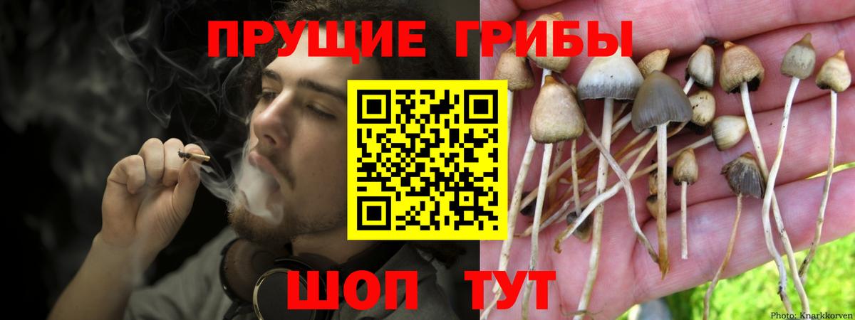 Галлюциногенные грибы мухоморы Стрежевой